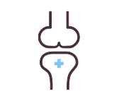 뼈 관절